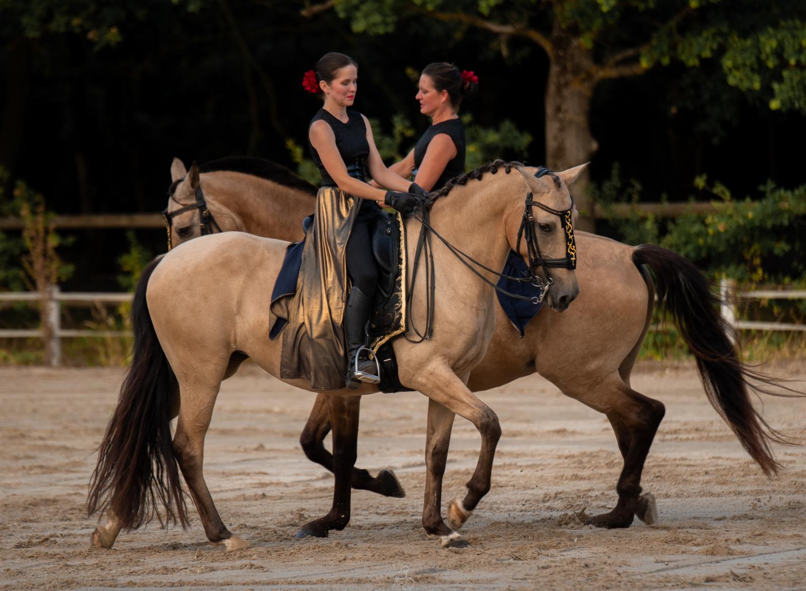 Spectacle Ecurie - 2024