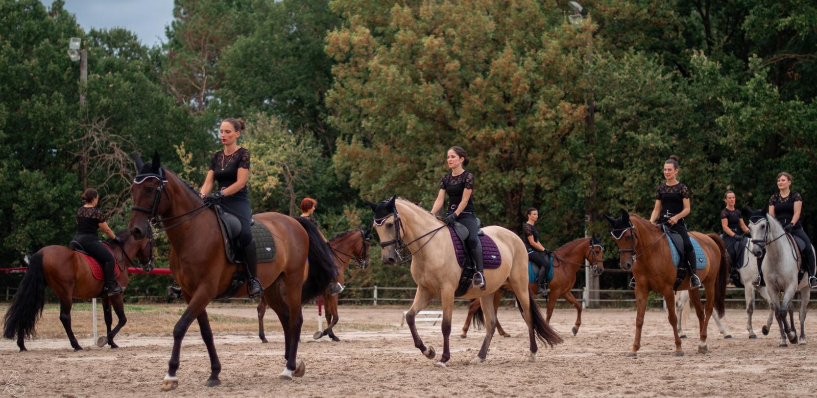Spectacle Ecurie - 2024