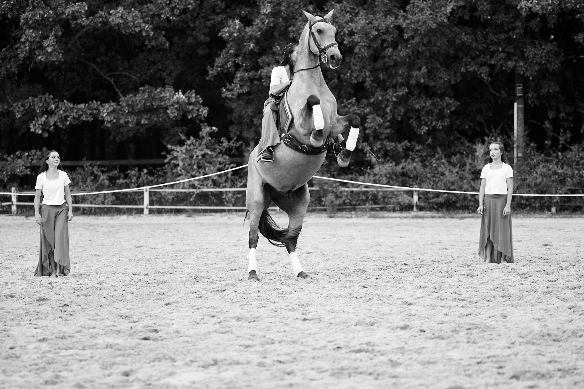 Spectacle Ecurie - 2025