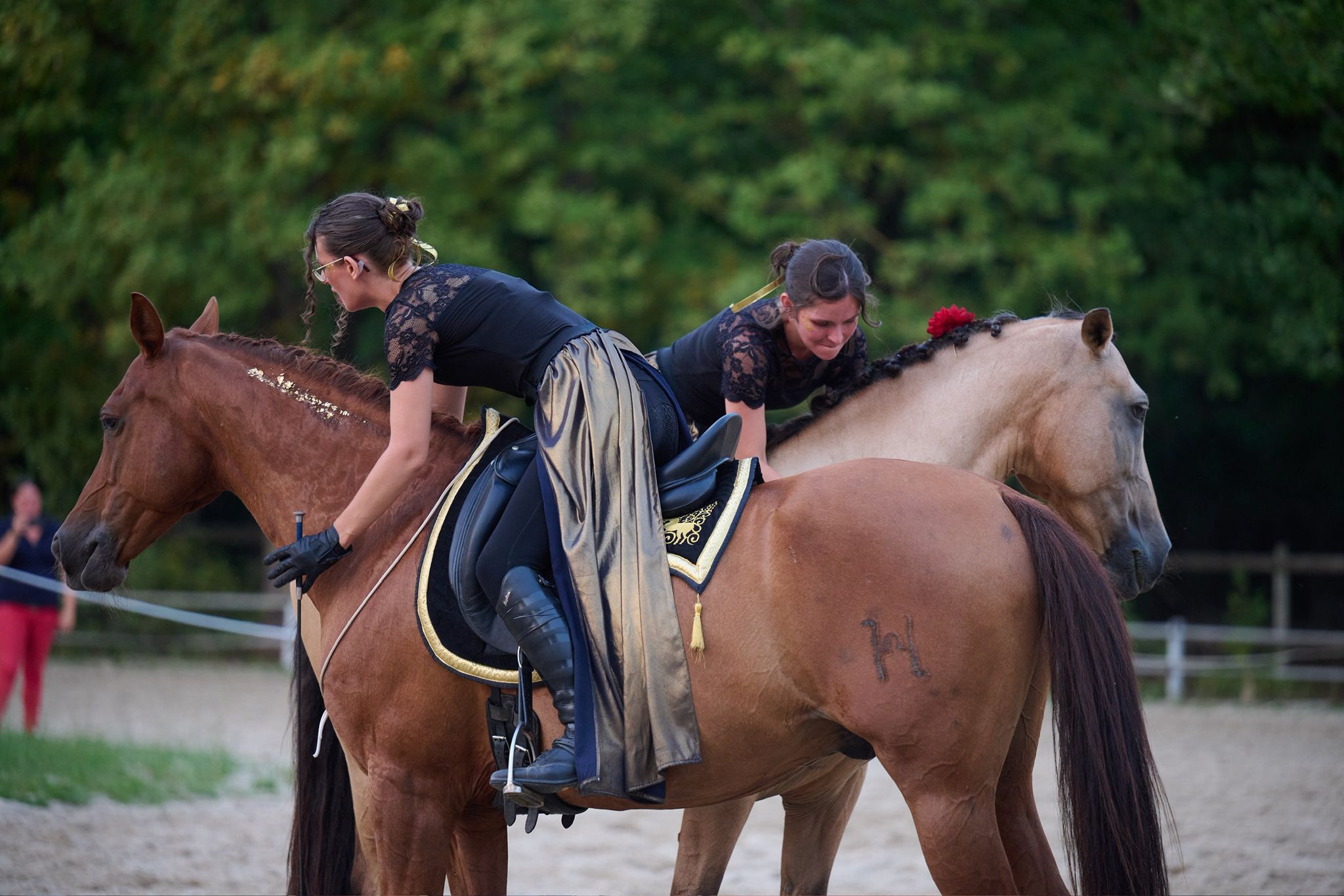 Spectacle Ecurie - 2025
